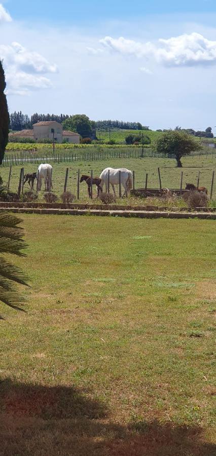 Les Bonbonnettes Le Cailar Exterior foto
