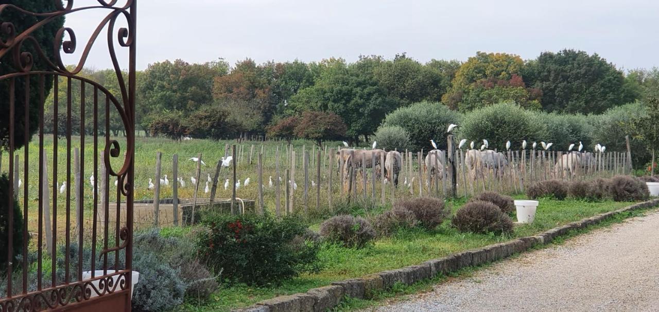 Les Bonbonnettes Le Cailar Exterior foto